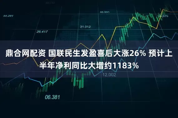 鼎合网配资 国联民生发盈喜后大涨26% 预计上半年净利同比大增约1183%