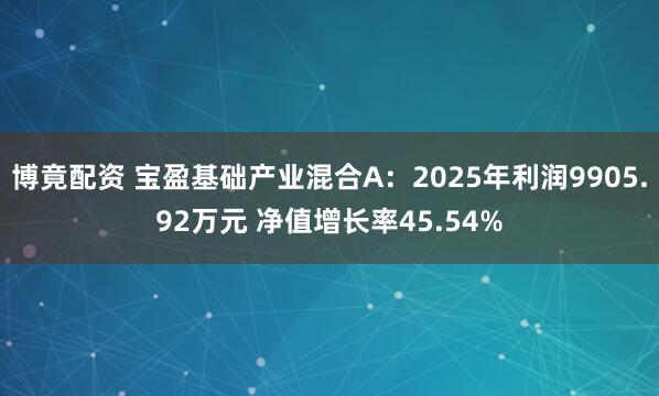 博竟配资 宝盈基础产业混合A：2025年利润9905.92万元 净值增长率45.54%