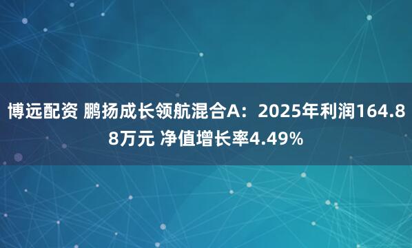博远配资 鹏扬成长领航混合A：2025年利润164.88万元 净值增长率4.49%